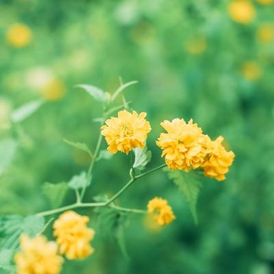 高热手游屠龙传世下载